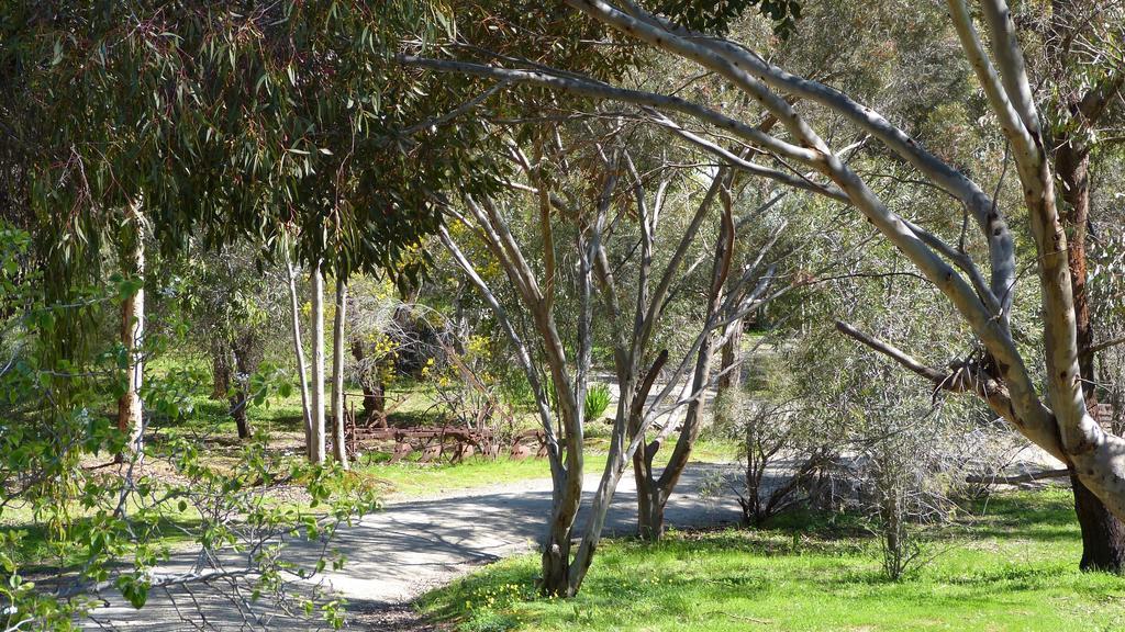 Retreat Watervale