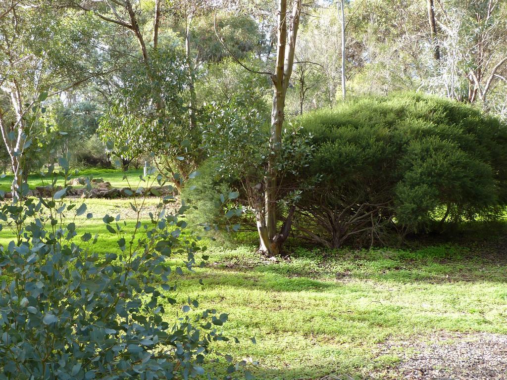 Lodge Retreat Watervale