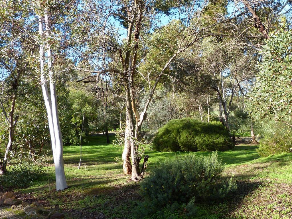 Lodge Retreat