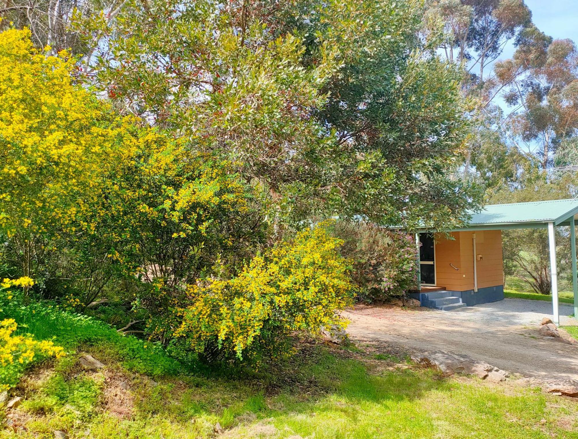 Retreat Watervale