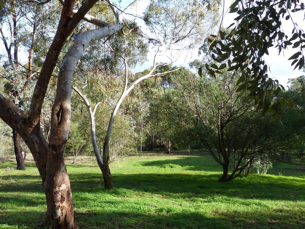 Lodge Retreat *